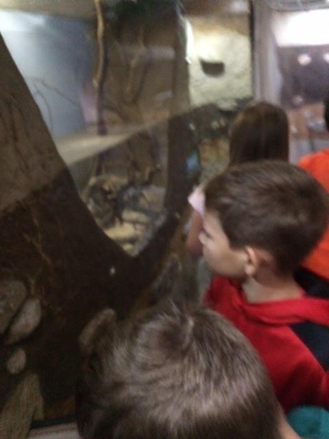 kids looking closely at window exhibit